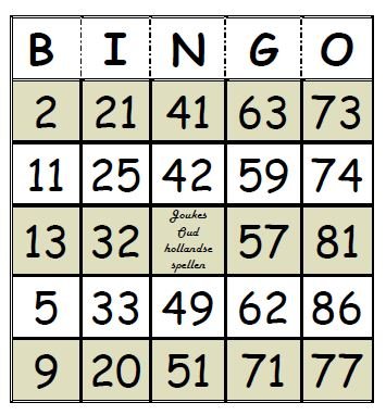 Verenigde Staten van Amerika hoe vaak Specifiek Bingo | Joukes oud Hollandse spellen